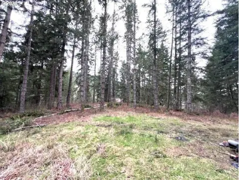 Private Timbered Homesite in Vernonia