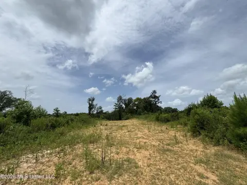 Recreational Hunting Land Tract