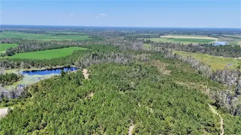 371 Acres Hunting and Homesite