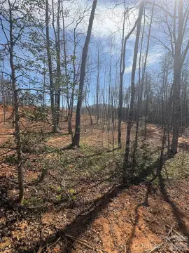 Wooded Acreage in Morganton, NC