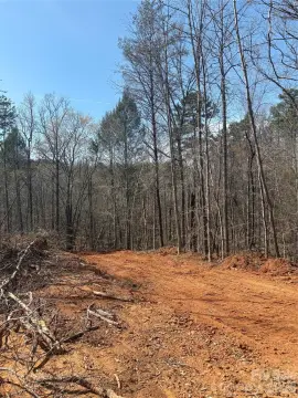 Wooded Acreage in Morganton, NC