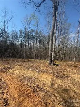 Wooded Acreage in Morganton, NC