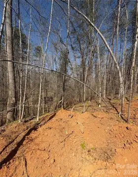 Wooded Acreage in Morganton, NC