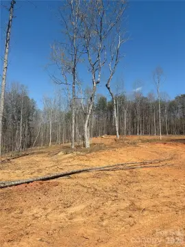 Wooded Acreage in Morganton, NC