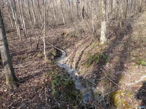 Haleyville Land with Utilities