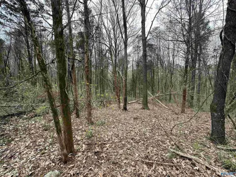 Three Acres Wooded Land