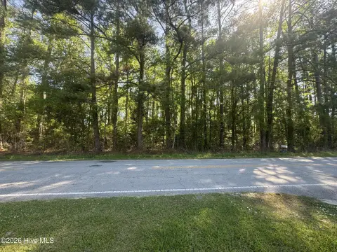 Residential Homesite in Wooded Setting