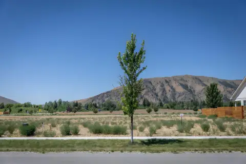 Residential Home Lot