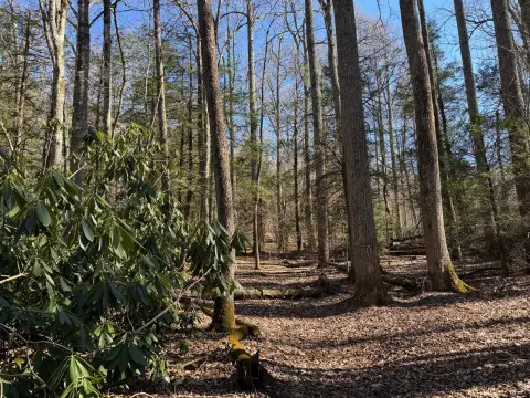 Vacant Land in Gated Community