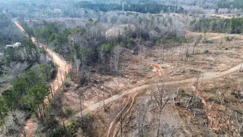 Hunting Land with Highway Access