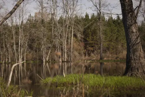 540 Acres Vacant Land