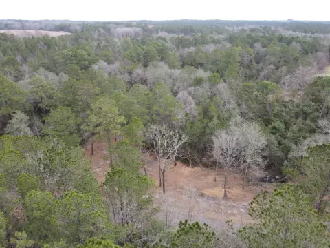 10 Acres Vacant Land Sumrall