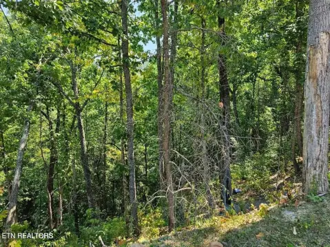 Resort Community Home Lot