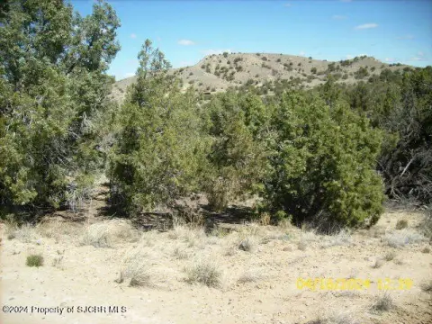 Residential Land in Aztec, NM