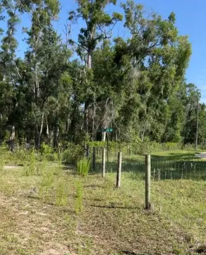 Land in Old Town, Florida