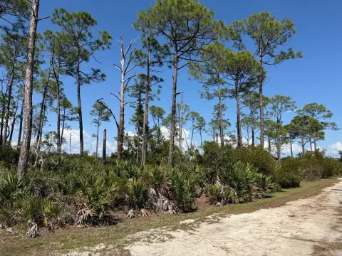 Cedar Key Coastal Homesite