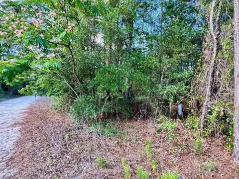 Half Acre Lot in Bronson