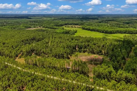 Chiefland, FL Land Parcel