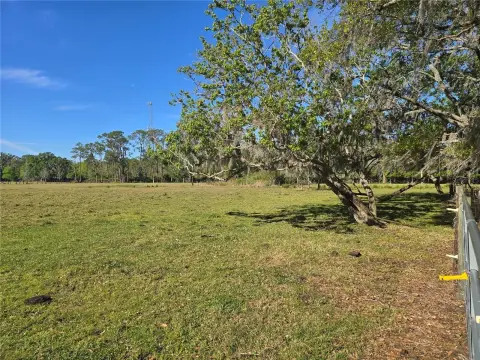 Cleared Land Parcel Near Town