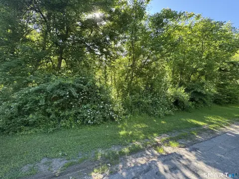 Wooded Residential Lot in Subdivision