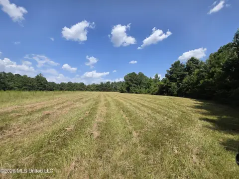 Recreational Pasture and Wooded Land