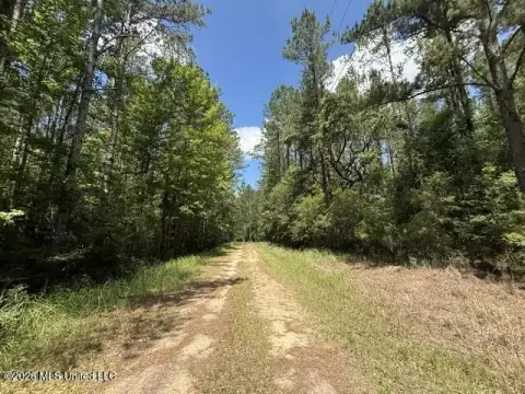 Recreational Timber Land Tract