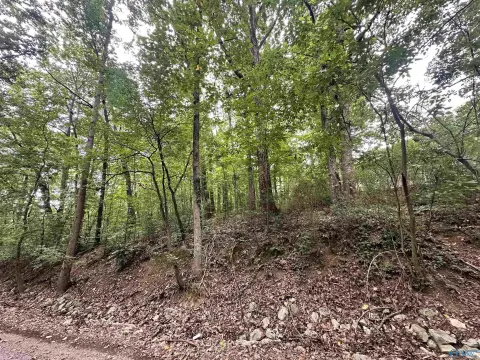 Cullman City Lot For Sale