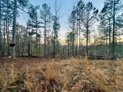 Unrestricted Land Near Buffalo Park