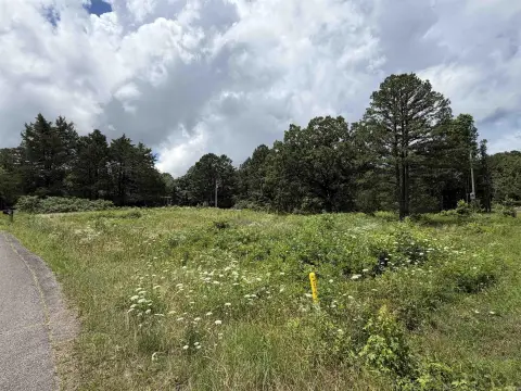 Heber Springs Wooded Lot