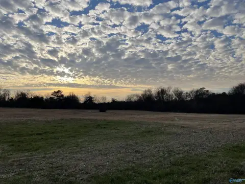 Land in Arab, Alabama