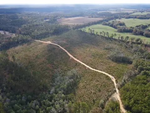 Leakesville Vacant Land For Sale