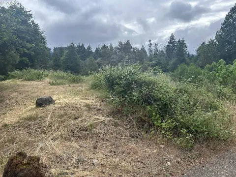 Buildable Lot in Oakridge, Oregon