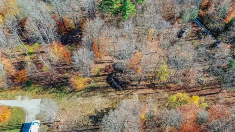 Chittenden Land Ready For Building