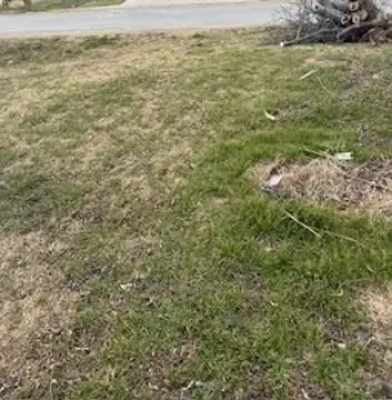 Land in Growing Ferris, TX