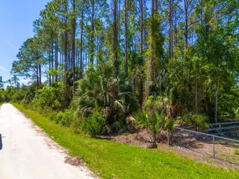 Old Town Land Near Suwannee