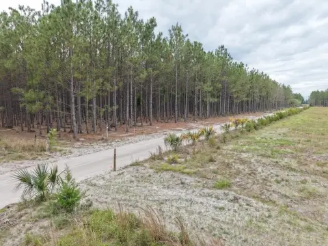 63.81 Acres of Timberland