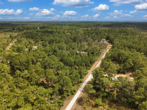 Wooded Lot Near Cedar Key
