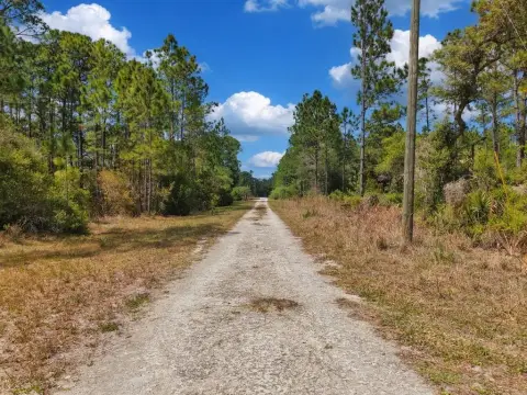 Wooded Lot Near Cedar Key