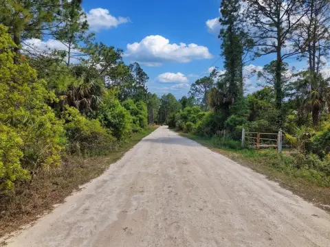 Wooded Lot Near Cedar Key