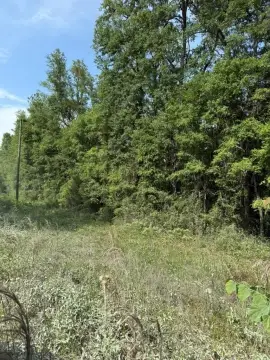 Lake City Acreage with Utilities