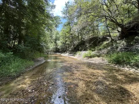 Waterfront Land with Creek