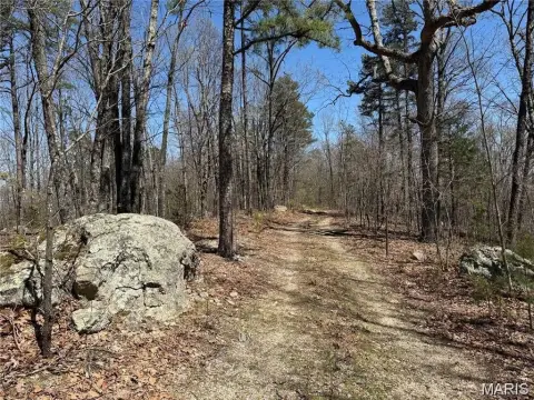 Belleview Farm Near National Forest
