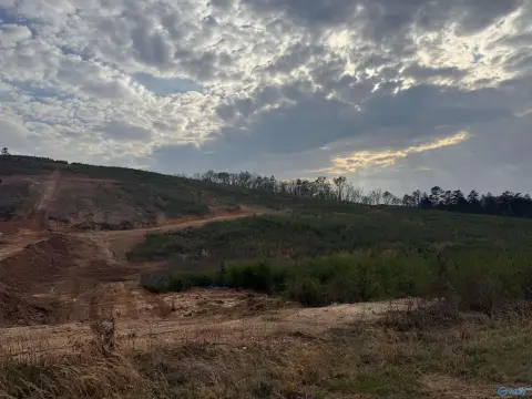 Unrestricted Land in Piedmont, AL