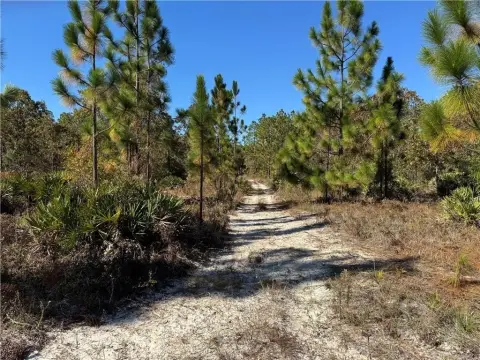 Residential Lot in Hortense, GA