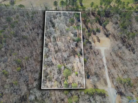 Residential Land in Centre, AL