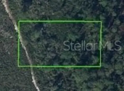 Wooded Land Parcel