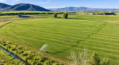 Irrigated Agricultural Land Parcel