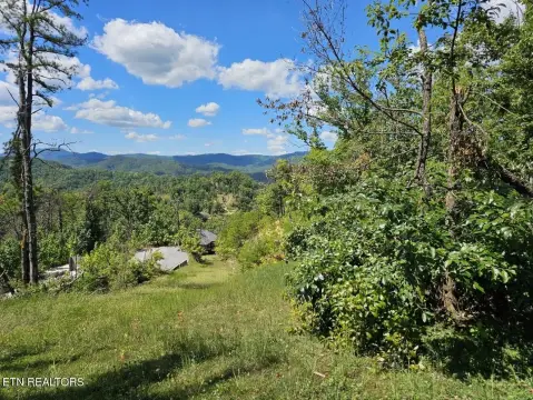 Shagbark Resort Land Opportunity