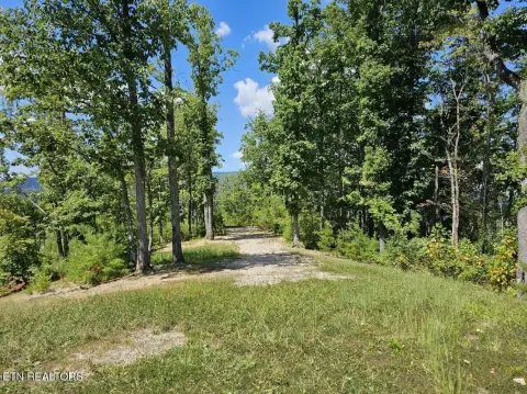 Platted Mountain Estate Land