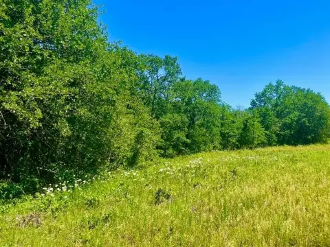 Poolville Land with Mature Trees